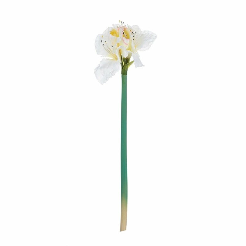 Dekoria Květina um. Amaryllis White 75cm