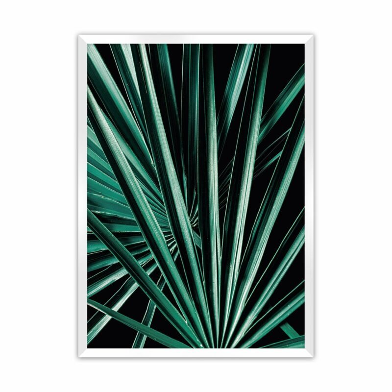 Dekoria Plakát Dark Palm Tree