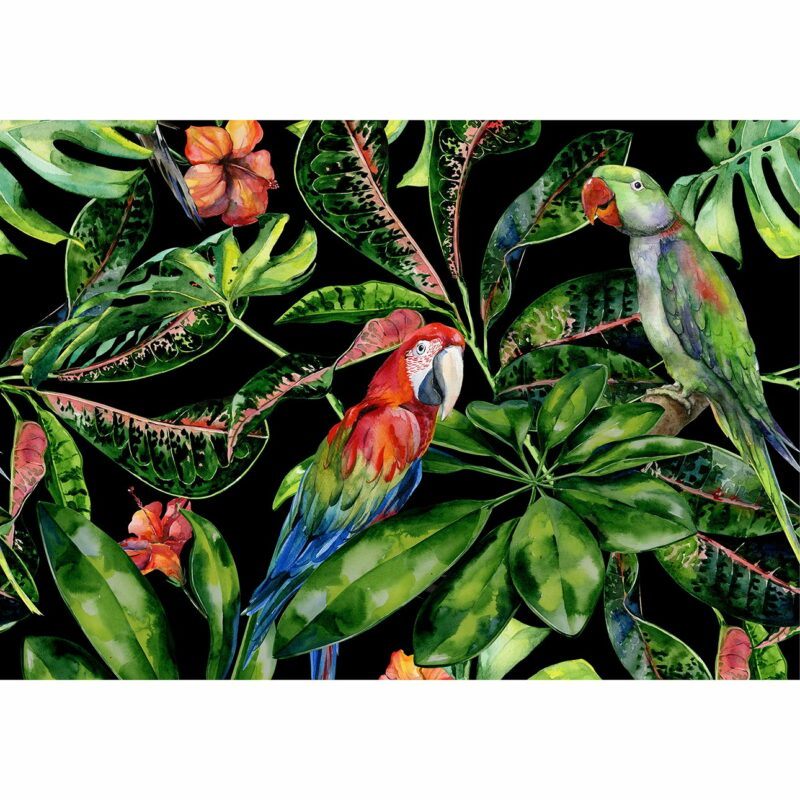 Dekoria Obraz na płátně Tropical Birds